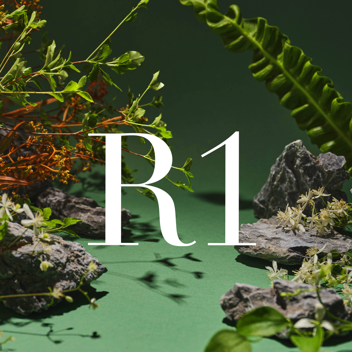 여성 질유산균 질건강 리스펙타 프로바이오틱스 비타민D 아연 30캡슐, 6개 - 상세 이미지 2