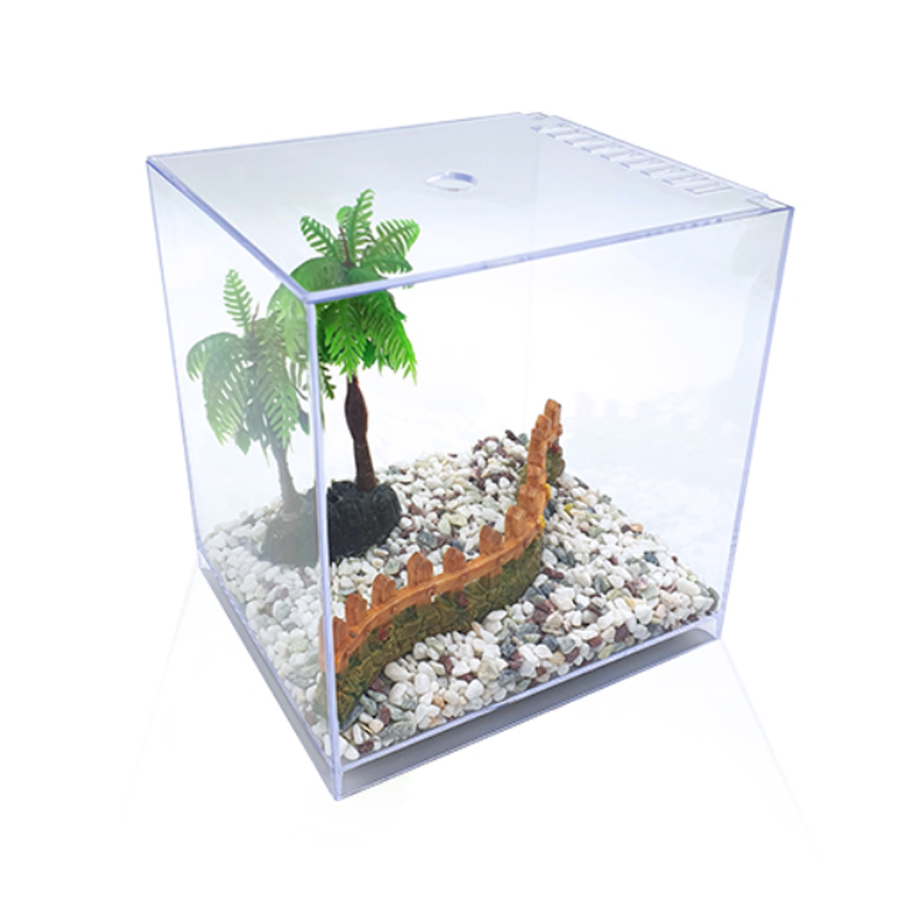 [초록끈] 아마존 큐티박스 16.5 x 12.5 x 17.5cm YA230 - 상세 이미지 2