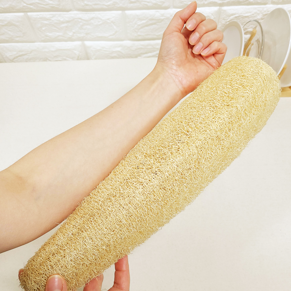 천연수세미 제로웨이스트 루파 주방 설거지 식물 수세미 열매