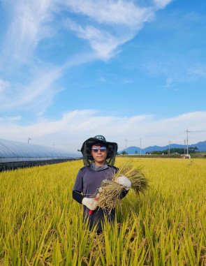2023년 햅쌀 햇쌀 향미 찹쌀 백옥 5kg 품안농장직송