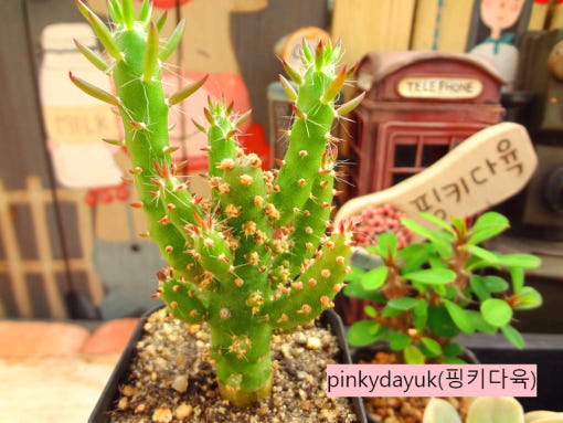 thumbnail-7
