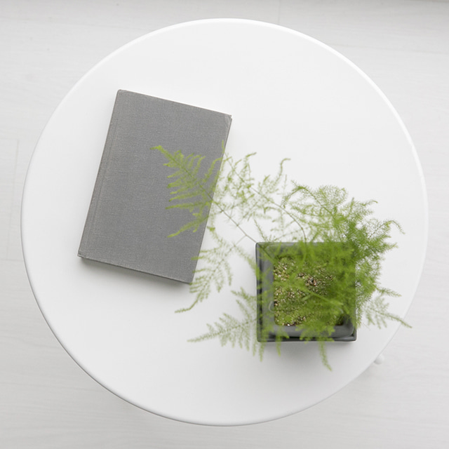 CARINO 500 사이드테이블 화이트 6226.6573