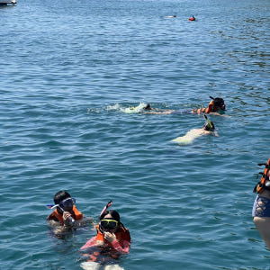 나트랑 스노쿨링 어메이징 호핑투어 (스쿠버다이빙 제트스키 패러세일링) 솔직 후기 | 실사용자 리뷰 분석 - 상품 이미지 3