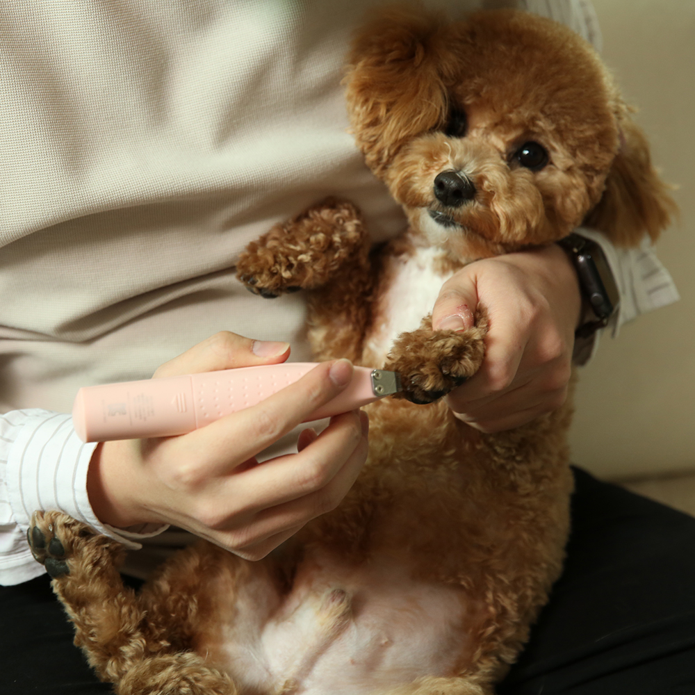 피버 강아지 고양이 바리깡 애견 이발기 미니트리머 부분 털 발바닥 미용기 - 상세 이미지 2