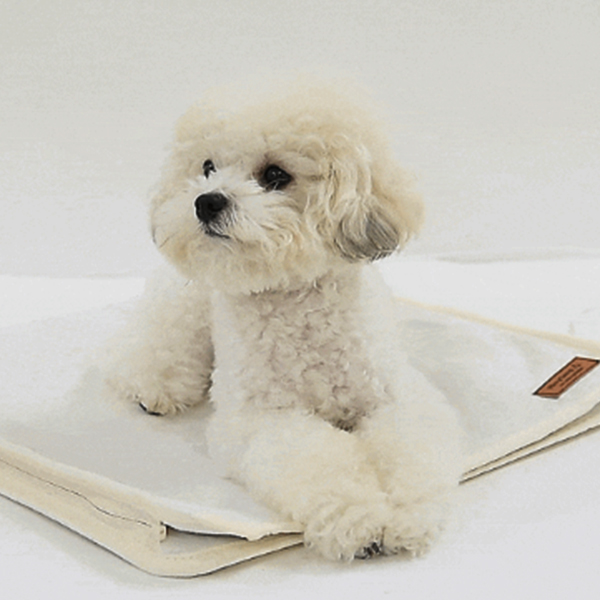 캠프365 휴대용 여행용 전기요 / 전자파 없는 USB 온열 탄소 매트 장판 애니베드