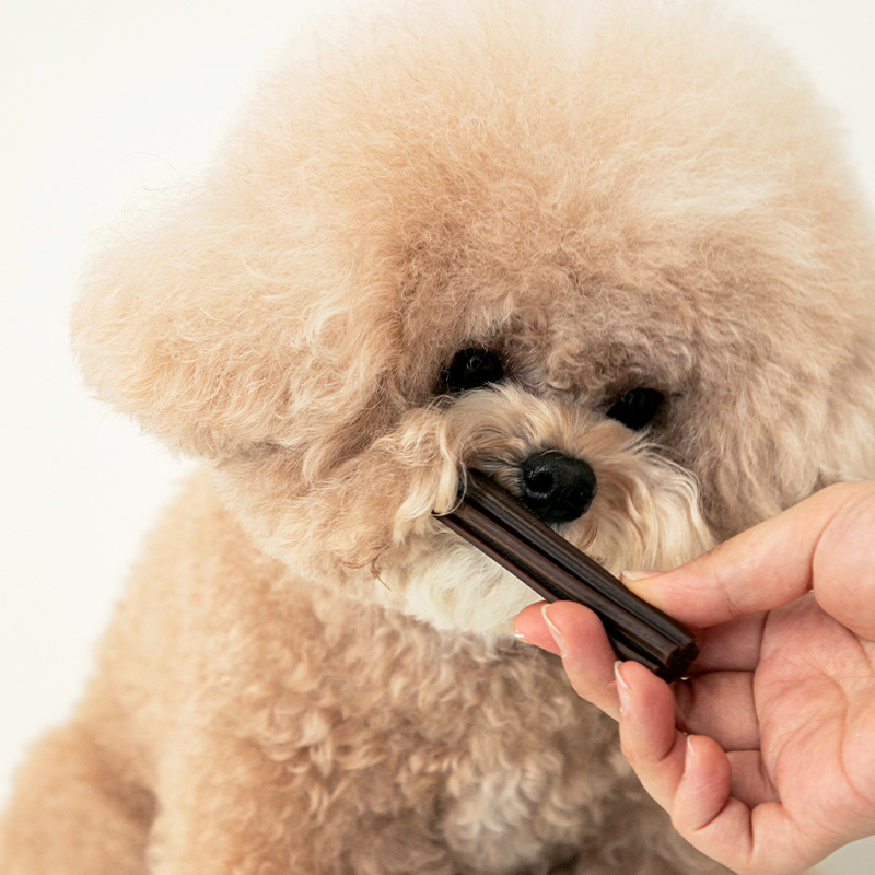 바잇미 강아지껌 덴탈껌 개 치석제거 입냄새 양치