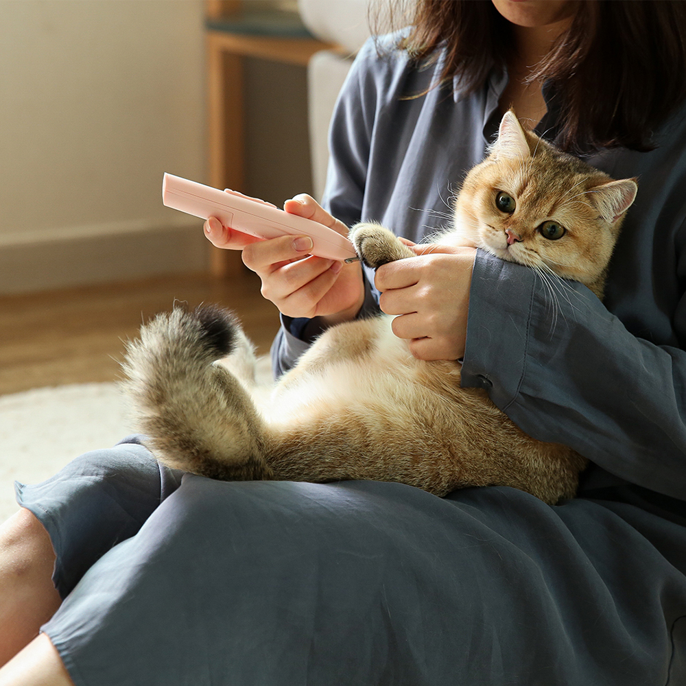 피버 강아지 고양이 바리깡 애견 이발기 미니트리머 부분 털 발바닥 미용기 - 상세 이미지 3