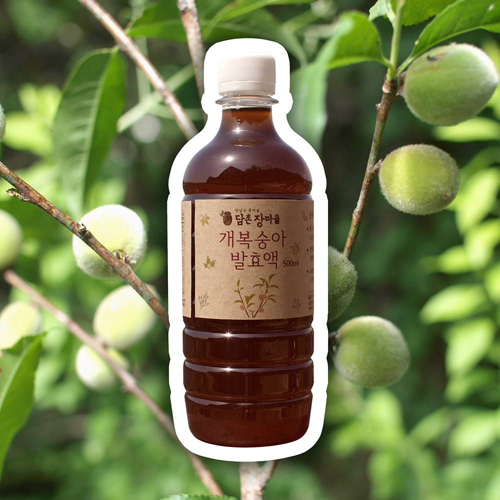 담촌 개복숭아 수제 발효액 500ml 돌복숭아 산복숭아 엑기스 / 효소 X - 상품 이미지