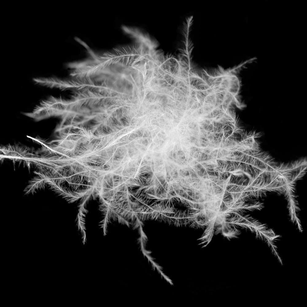 호텔이불 프리미엄 구스다운 사계절 거위털이불 900g