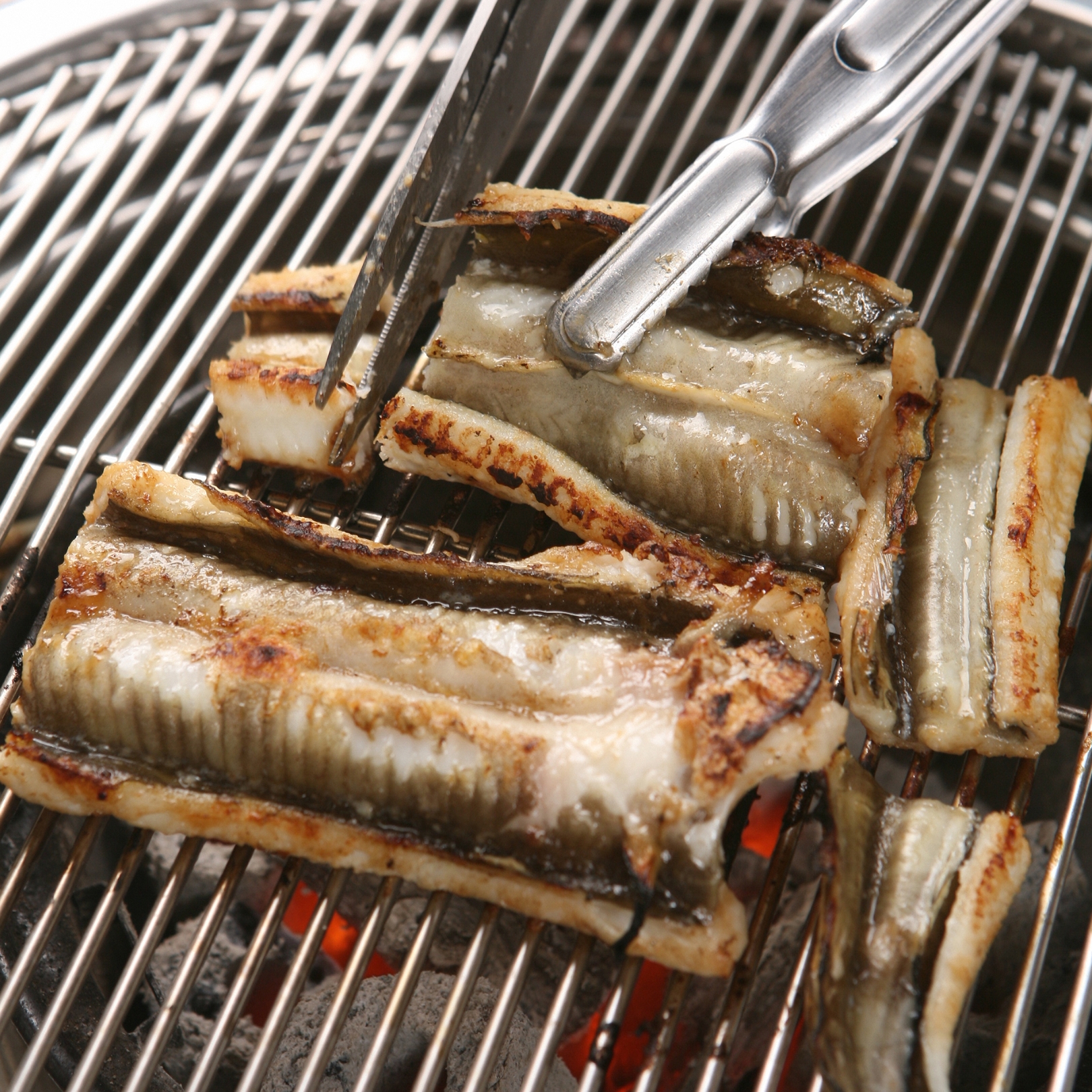 통영 바다장어 1KG 손질후 800g 아나고 아나고회 붕장어 장어구이 손질장어