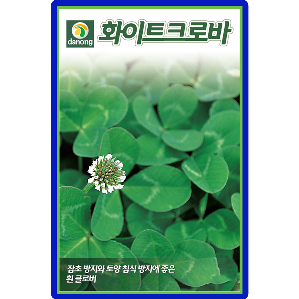 다농 화이트크로바 씨앗 20g 흰 클러버씨 잡초방지 토끼풀 종자 : 양동씨앗마켓