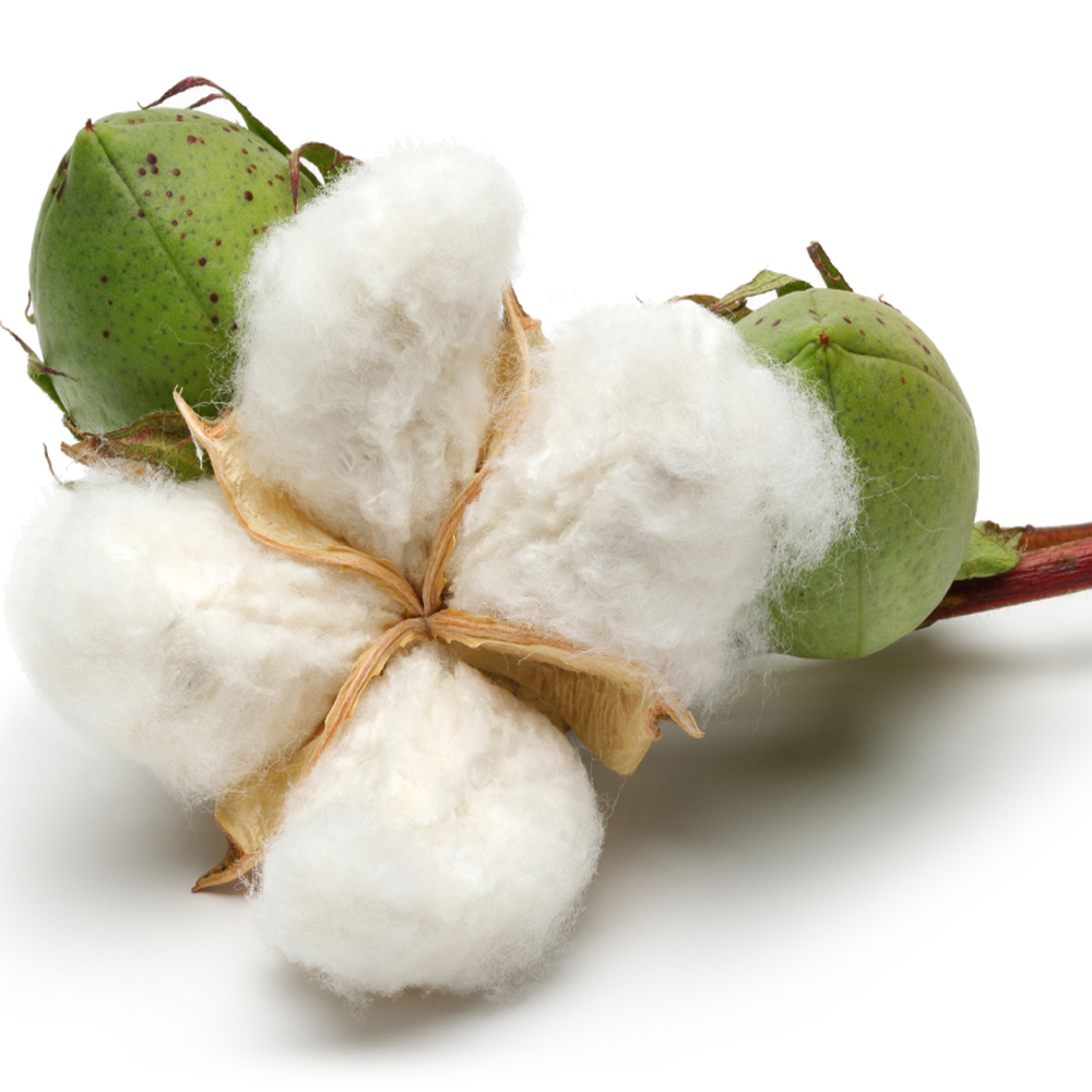 호텔이불 프리미엄 구스다운 사계절 거위털이불 900g