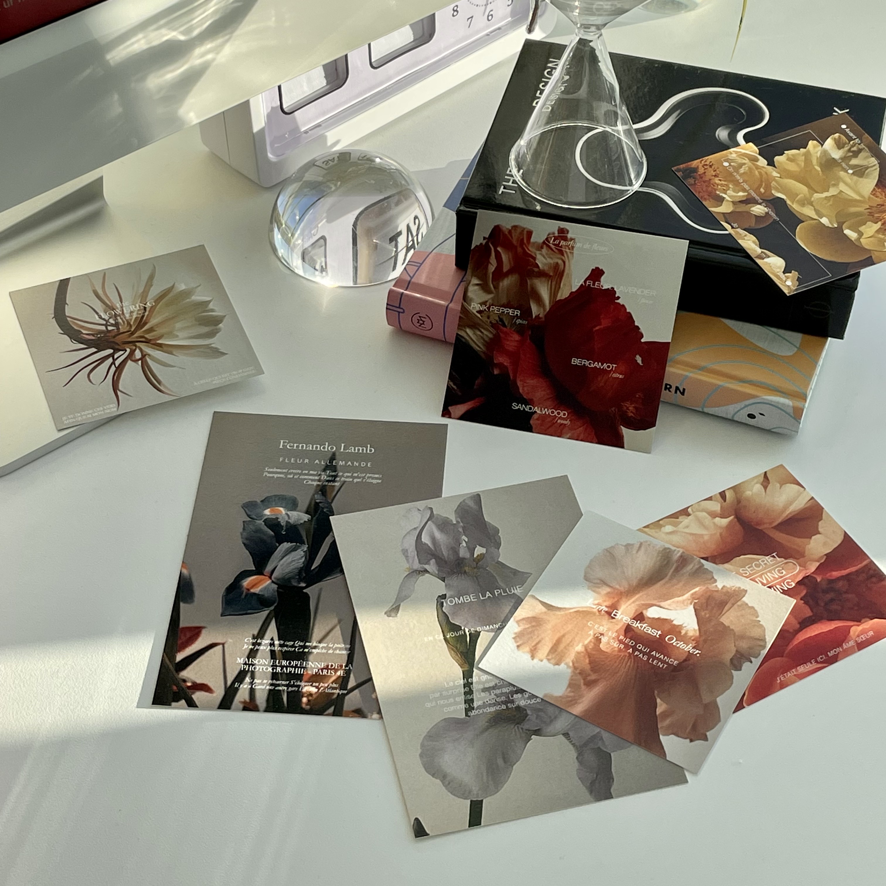 플라워 인테리어 엽서 미니포스터 플라워포스터 프렌치인테리어 PARFUM 이미지 8