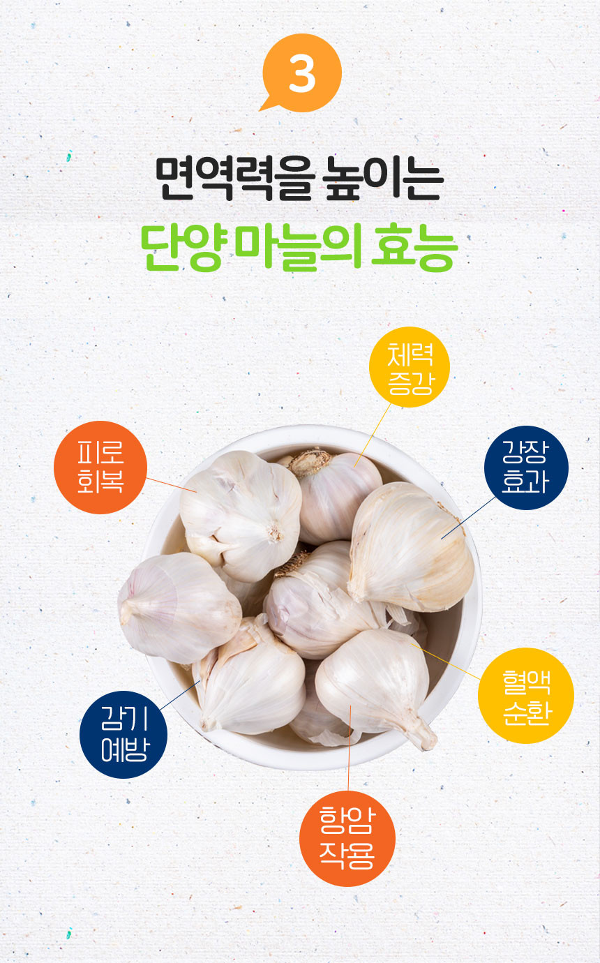 농사이야기 2022 단양 육쪽마늘 한지형 씨마늘 햇 마늘 토종 종자 한접 특상품:: 위메프 농사이야기 2022 단양 육쪽마늘 한지형 씨마늘 햇 마늘 토종 종자 한접 특상품:: 위메프