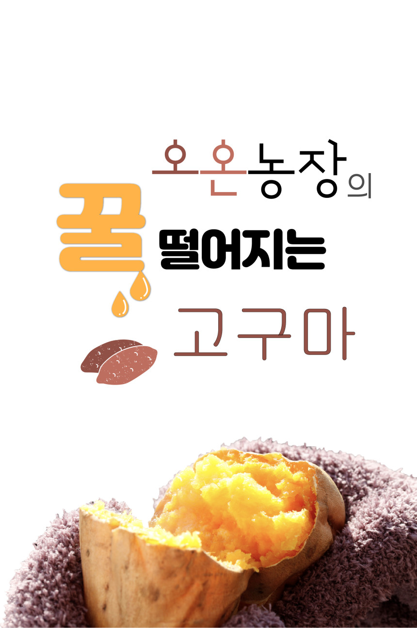 고구마 설명