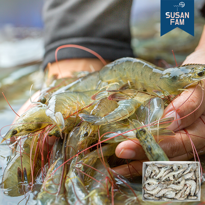 흰다리새우 2kg 4사이즈 냉동새우 대하 페루산