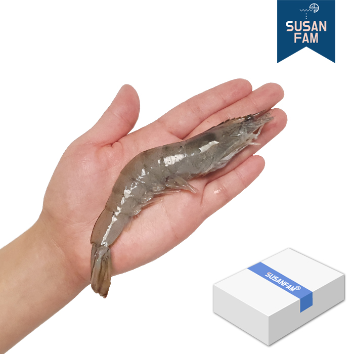 흰다리새우 12kg(2kgX6팩) 박스 냉동새우 대하 페루산 - 상세 이미지 3