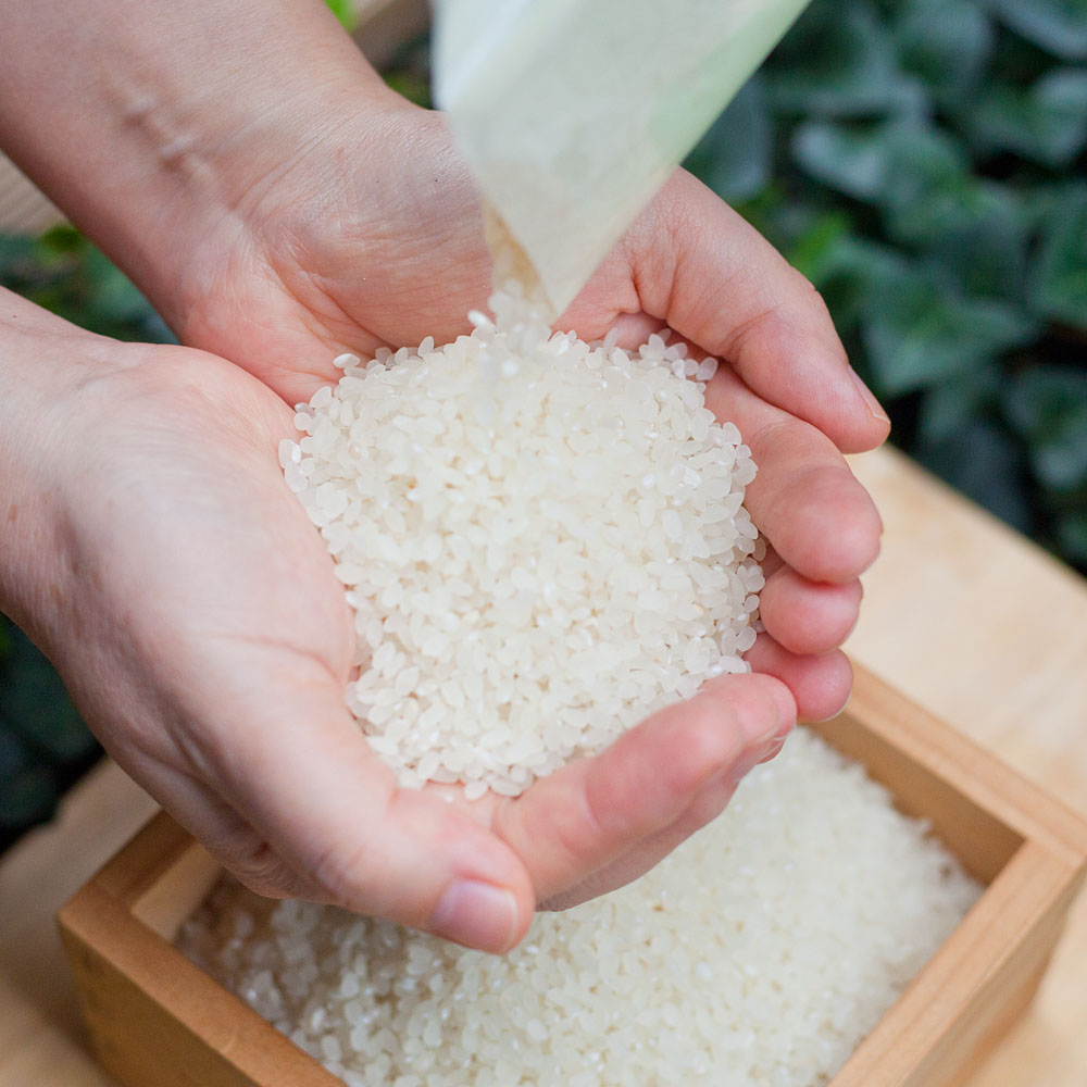 밥맛좋은 쌀 유기농쌀 백미 오분도미 소포장쌀 1kg 벼도정 - 상품 이미지