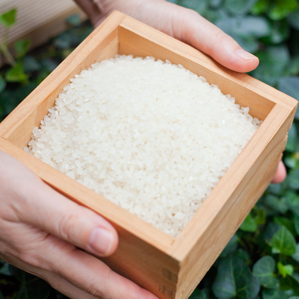 밥맛좋은 쌀 유기농쌀 백미 오분도미 소포장쌀 1kg 벼도정 - 상세 이미지 4
