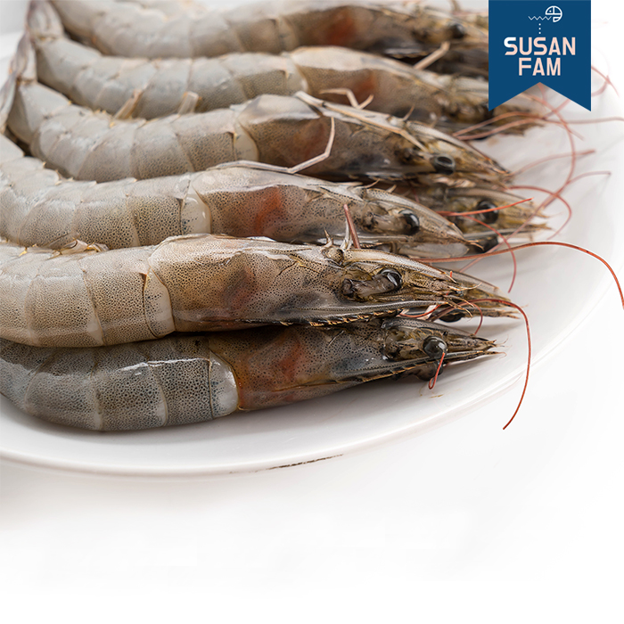 흰다리새우 2kg 4사이즈 냉동새우 대하 페루산 이미지 6