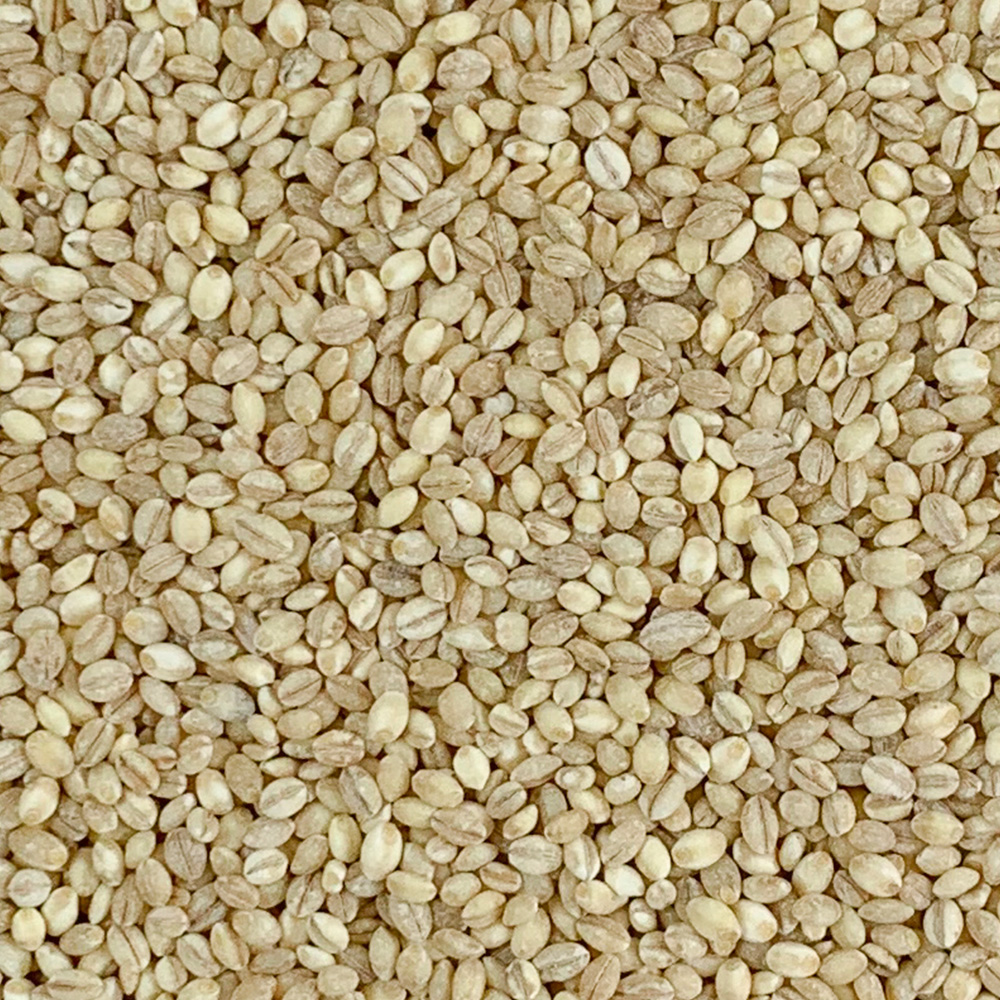 국산 찰보리 찰보리쌀 1kg - 상세 이미지 4