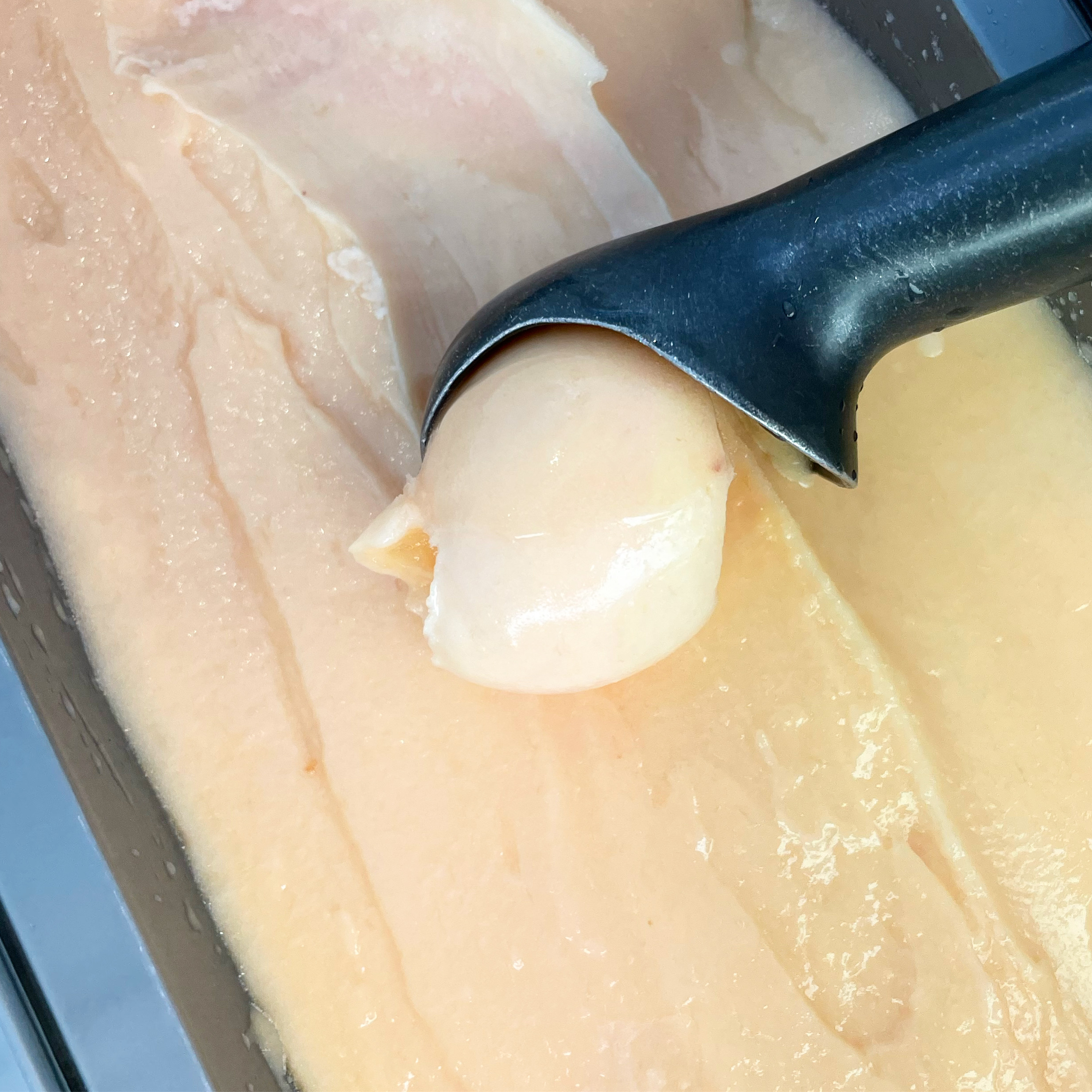 리얼 수제 아이스크림 미니컵 6개 디저트 카페맛집 콜드레시피 이미지 6
