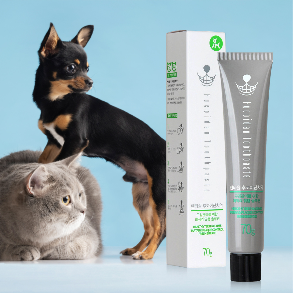 덴티솔 후코이단 치약 70g 강아지 고양이 치약 구취제거 - 상품 이미지