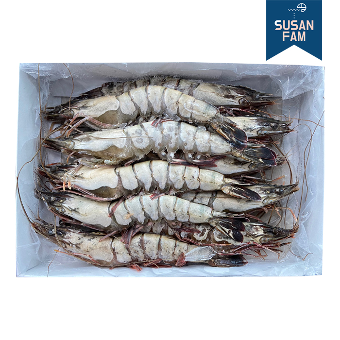 블랙타이거 새우 5kg 박스 사이즈별 홍다리얼룩새우 [도매 업소용] - 상세 이미지 4