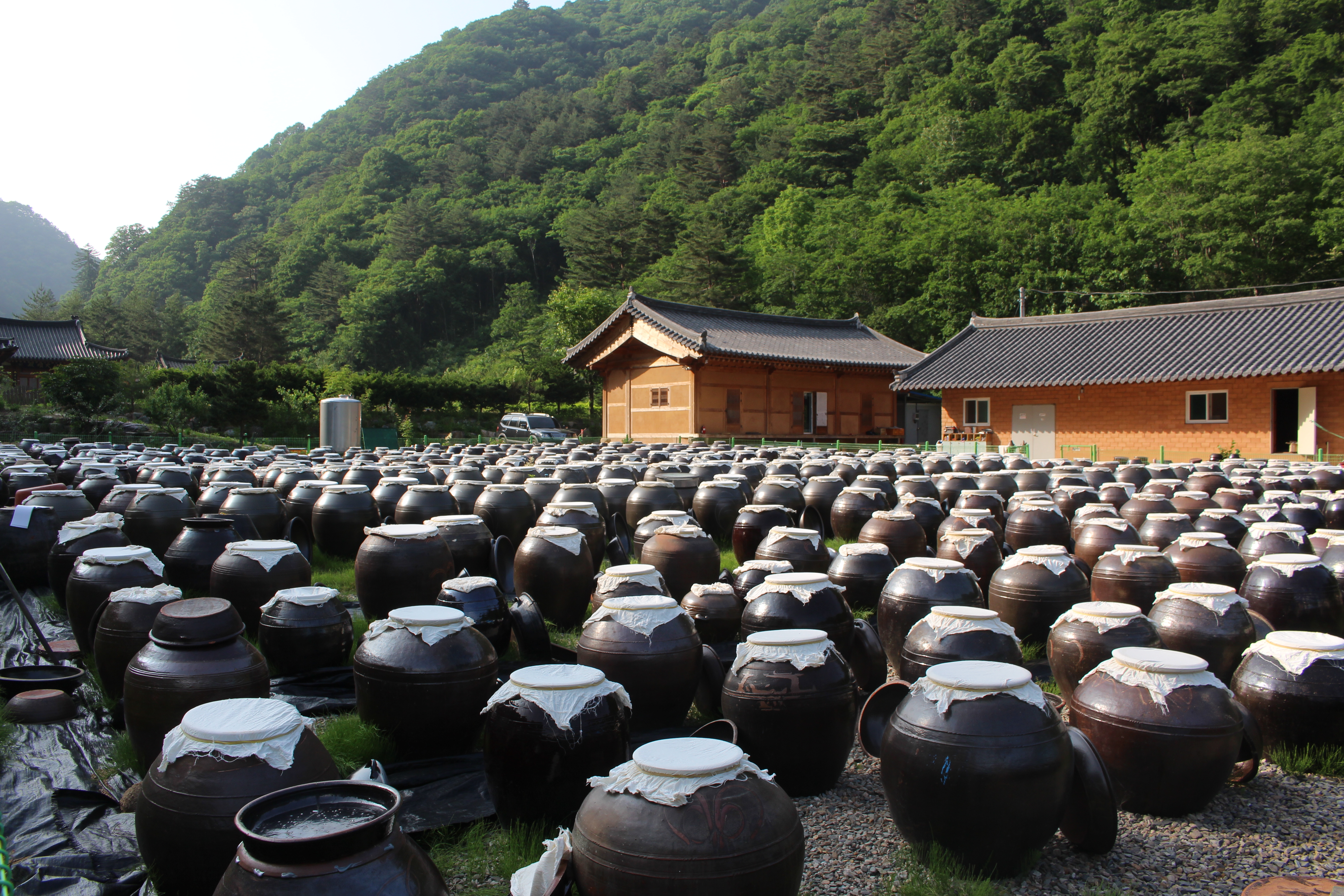 강원도 까막장 황태 호박막된장 500g, 1개 이미지 8