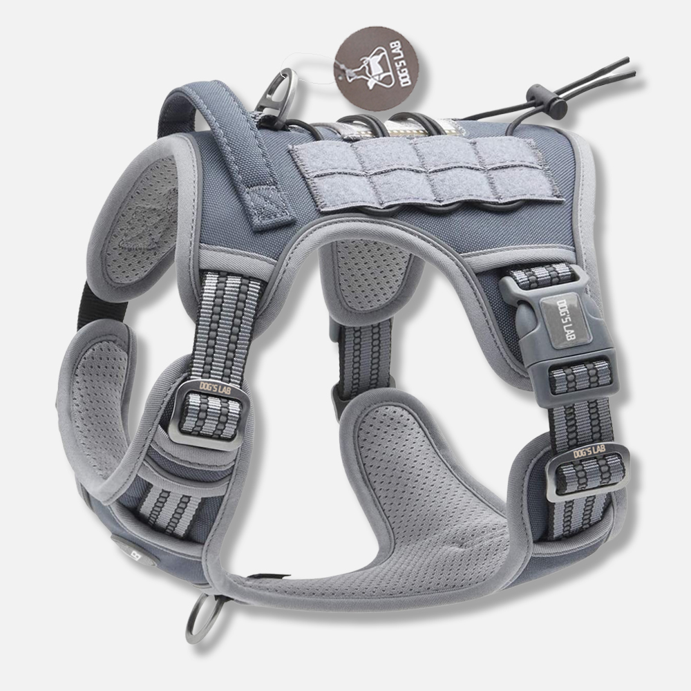 독스랩 강아지 중형견 대형견 하네스 앞섬방지 앞고리 진돗개 가슴줄 S