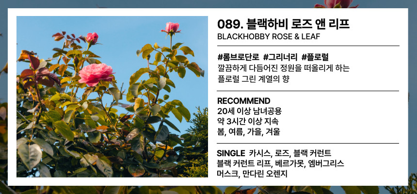 블랙하비 로즈앤리프 4ml 롬브로단로 장미향 생화향 HOTTRACKS NEW バニロンブラシ ホワイト RO#4 37422004