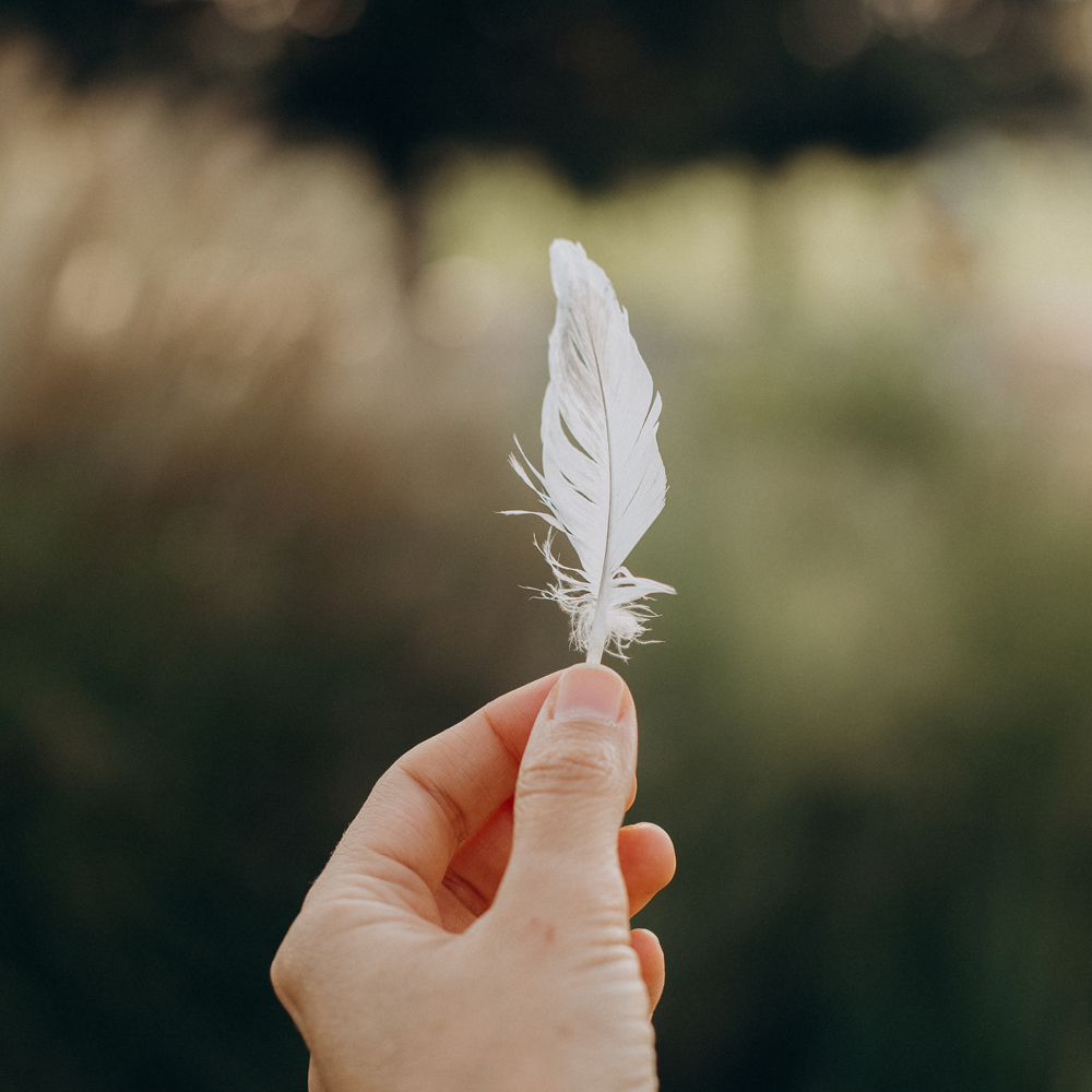 호텔침구 구스이불 거위털 겨울 다운 간절기 이불솜