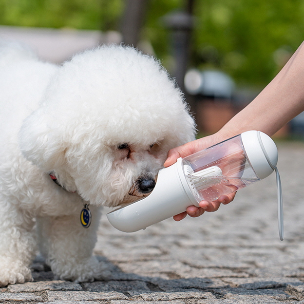 신나고신나개 강아지산책물통 330ml - 상품 이미지