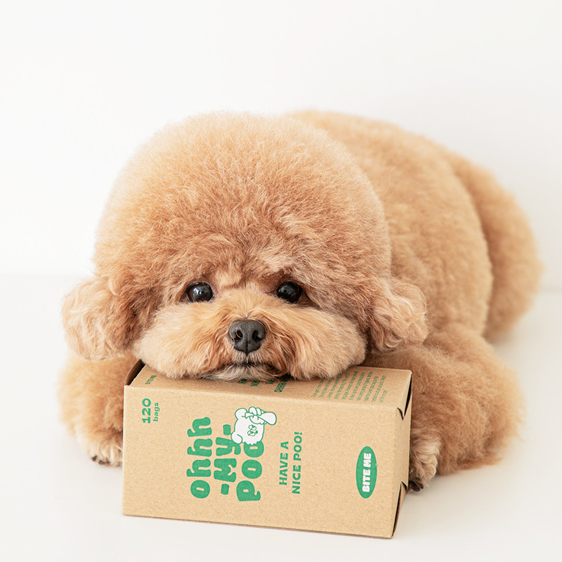 애견 강아지 배변봉투 똥 강아지 풉백 사진 3