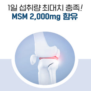 닥터브라이언 MSM 보스웰리아 무릎 관절 맛있게 먹은 솔직 후기 - 상품 이미지 2