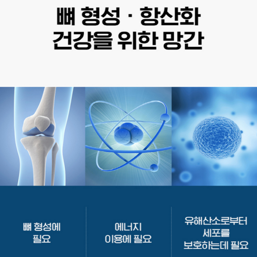 닥터브라이언 MSM 보스웰리아 무릎 관절 - 상세 이미지 4