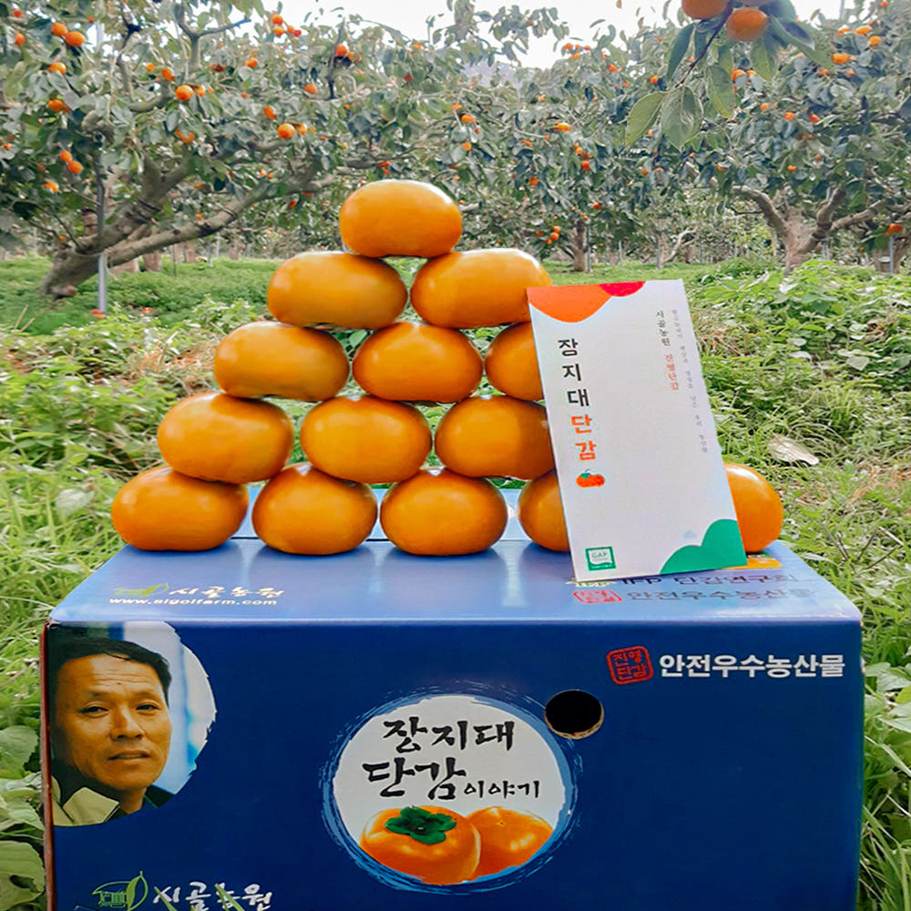 태추단감 진영 단감 2.5kg 4.5kg 가격 비교 시골농원 진영단감 태추단감 진영 단감 2.5kg 4.5kg