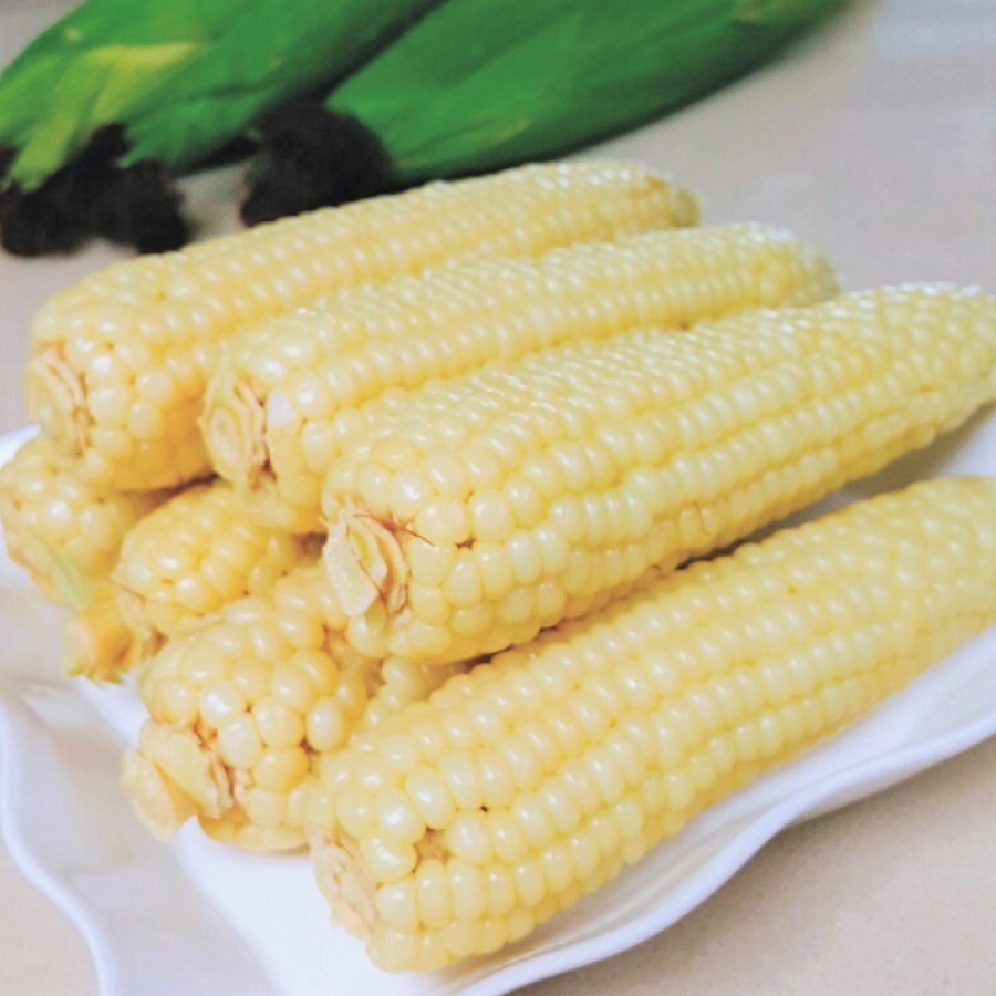 국내산 강원도 삶은 미백 찰옥수수 급냉 20개내외