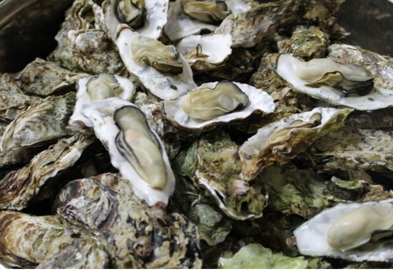 냉동하프셀 반각굴 1박스(130-150내외) 냉동굴 석화구이 석굴찜