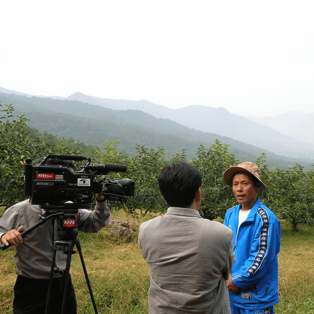 단감 진영단감 태추 감 부유 대봉 홍시 5kg 10kg 시골농원