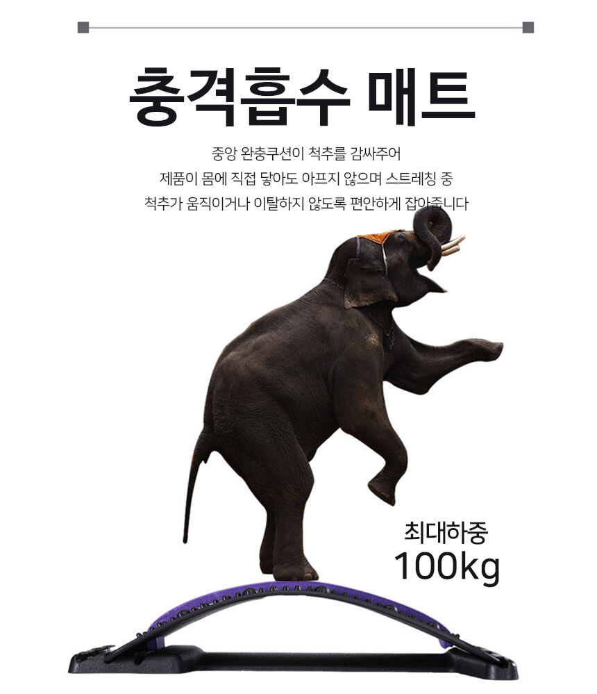 허리 지압판 스트레칭 기구 코어운동 굽은 등펴기 등받이 마사지기 협착증 척추 - 상세 이미지 5