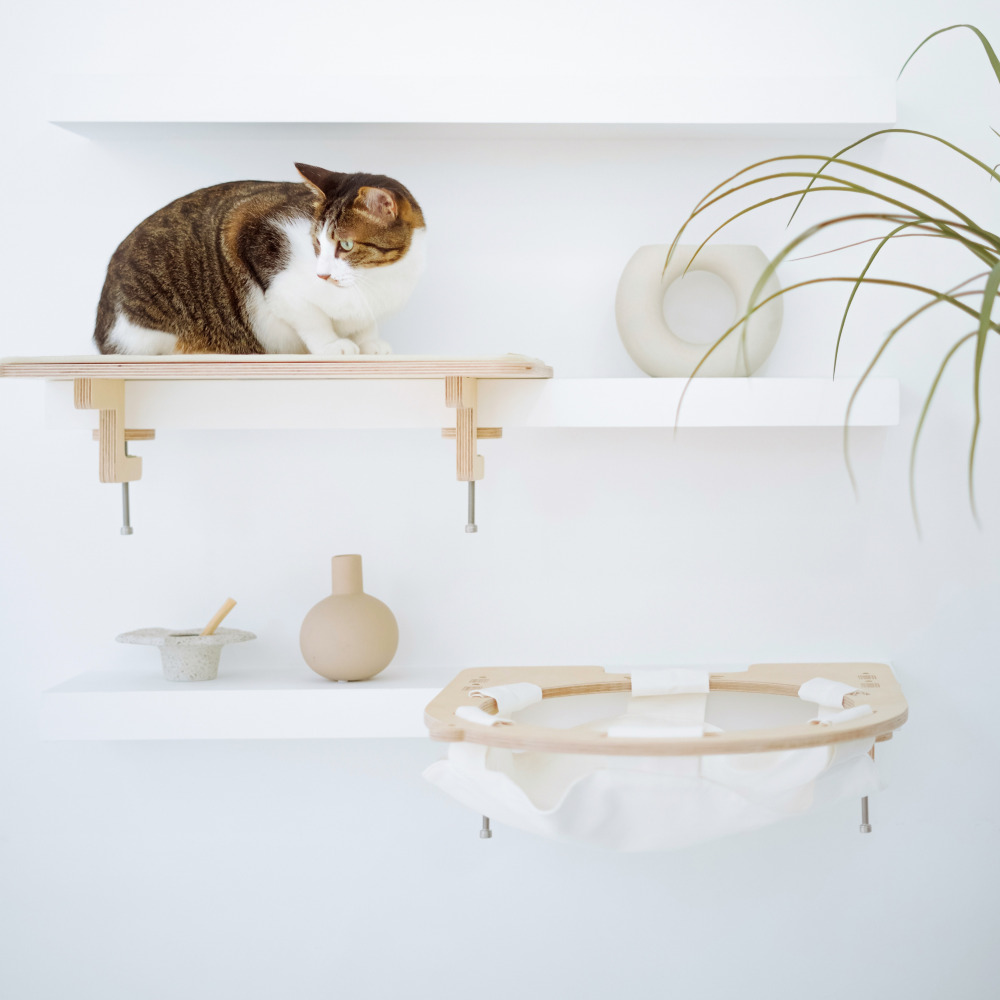 캣돌 냥터 고양이 투명해먹 책장 책상 선반 원목 캣타워 해먹 침대 뚱냥이 캣스텝 소형