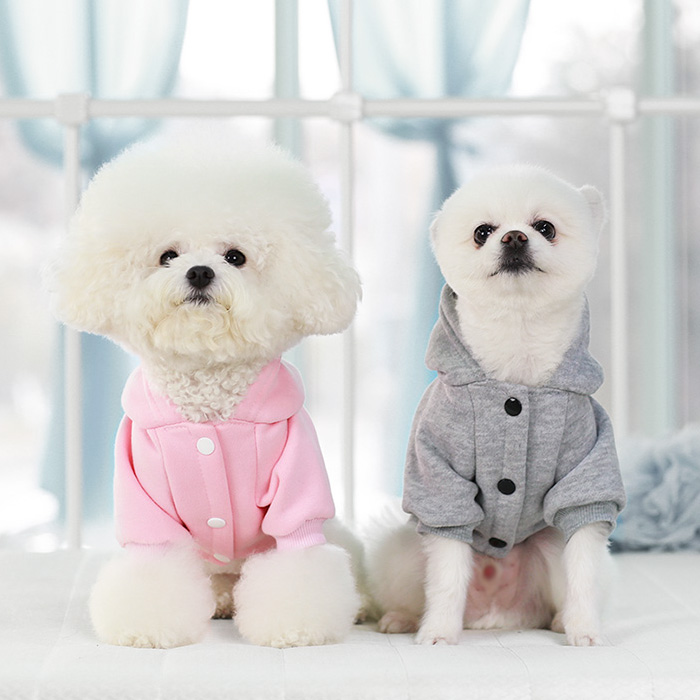 강아지옷 강아지기모 데일리기모후드점퍼 - 메인 이미지