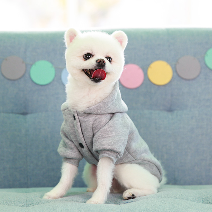 강아지옷 강아지기모 데일리기모후드점퍼 - 상세 이미지 2