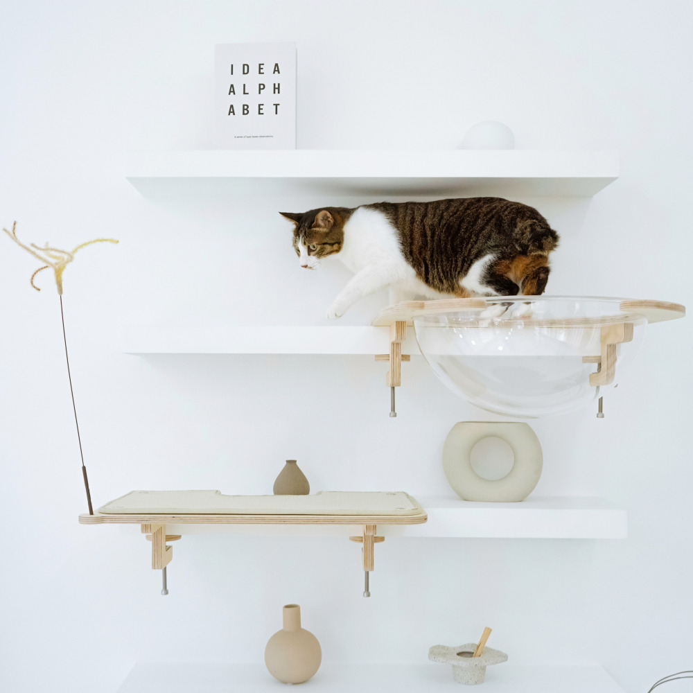 캣돌 냥터 고양이 투명해먹 책장 책상 선반 원목 캣타워 해먹 침대 뚱냥이 캣스텝 소형