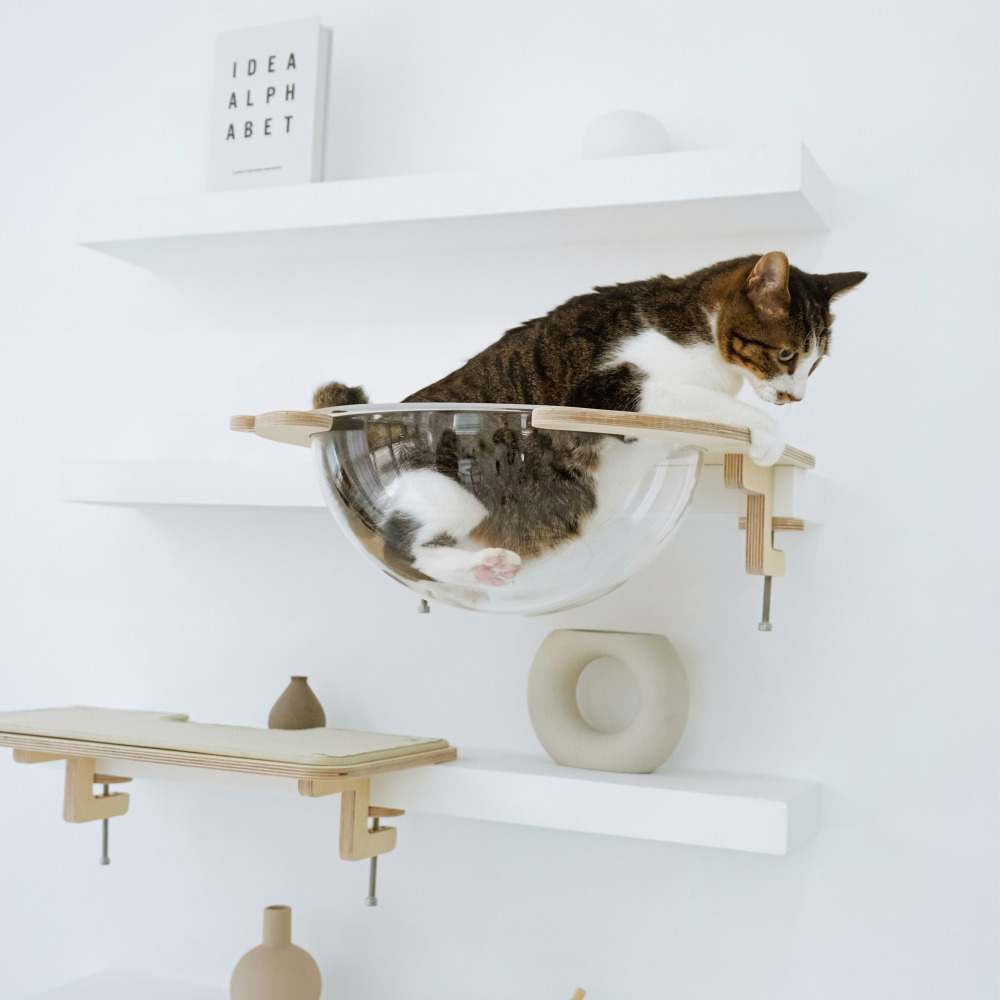 캣돌 냥터 고양이 투명해먹 책장 책상 선반 원목 캣타워 해먹 침대 뚱냥이 캣스텝 소형