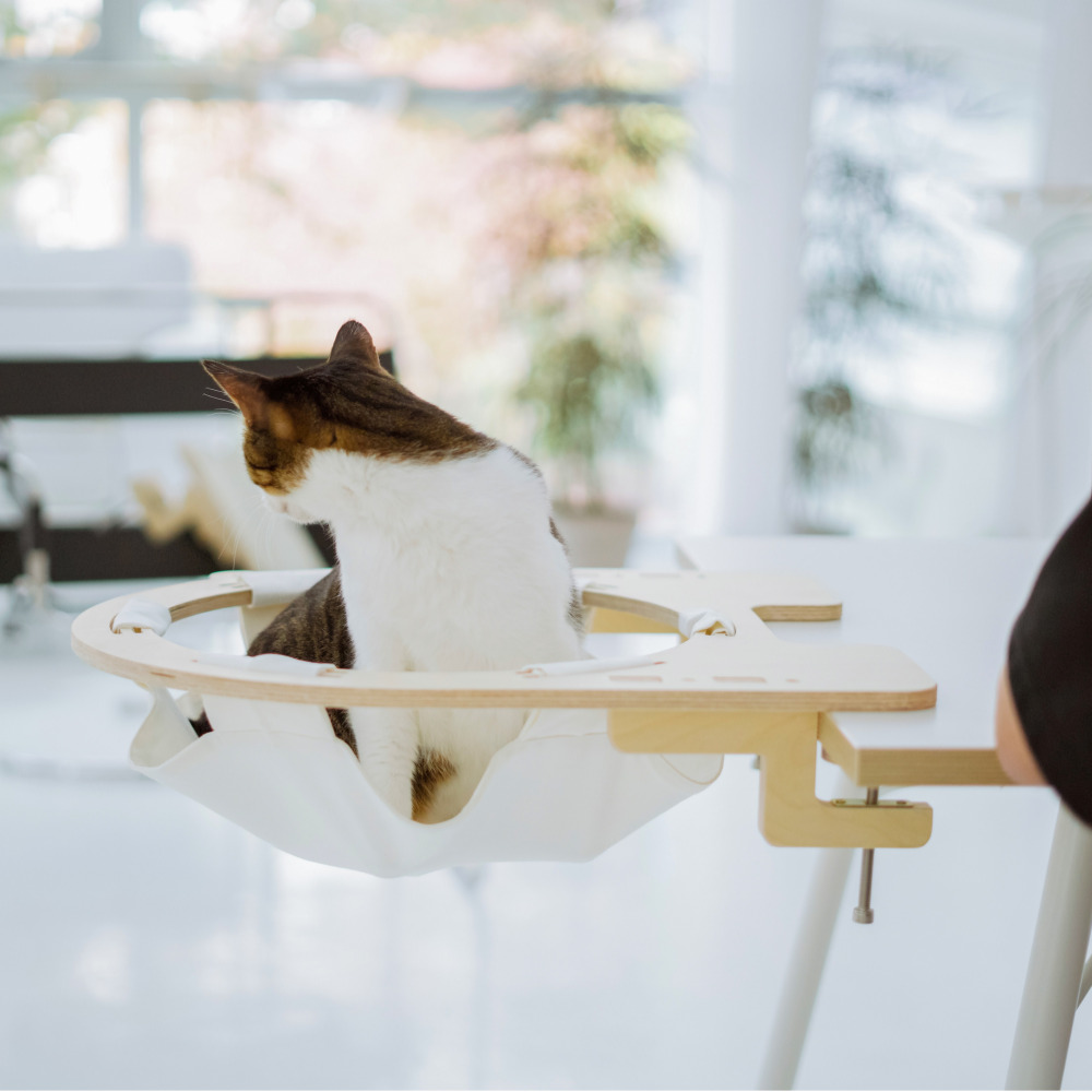 캣돌 냥터 고양이 투명해먹 책장 책상 선반 원목 캣타워 해먹 침대 뚱냥이 캣스텝 소형