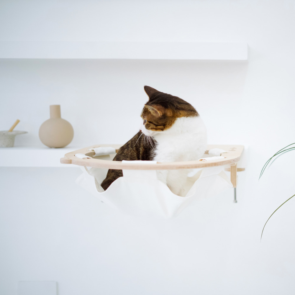 캣돌 냥터 고양이 투명해먹 책장 책상 선반 원목 캣타워 해먹 침대 뚱냥이 캣스텝 소형