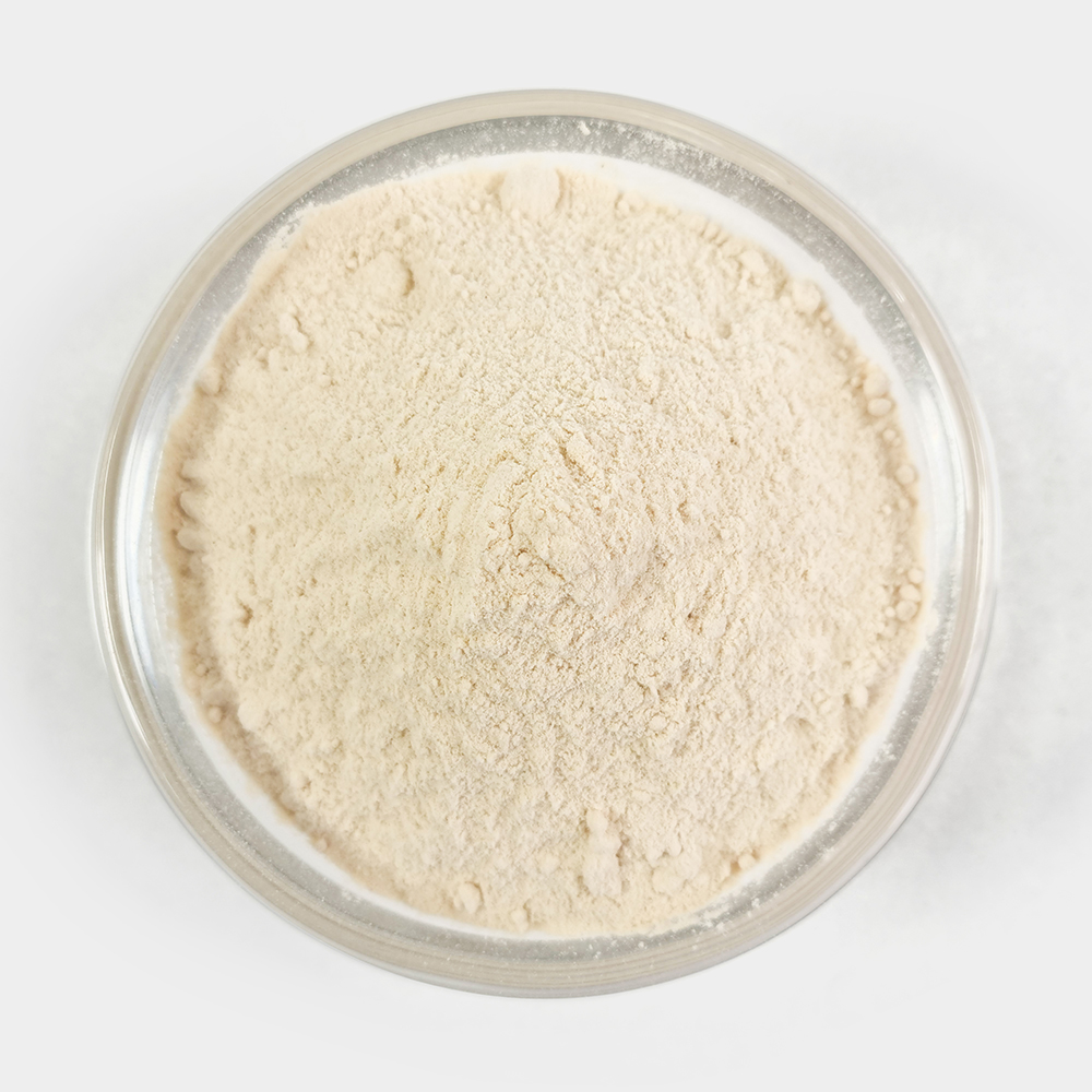 국산 양파 가루 분말 250g 양파100% - 상세 이미지 3