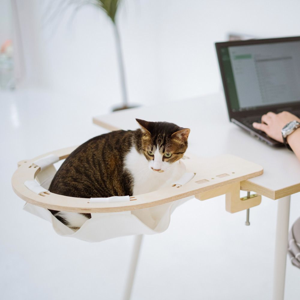 캣돌 냥터 고양이 투명해먹 책장 책상 선반 원목 캣타워 해먹 침대 뚱냥이 캣스텝 소형